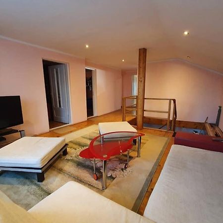 Casa Frizerului - Pets Allowed For Free & Moto Friendly Apartment Sebes  Ngoại thất bức ảnh