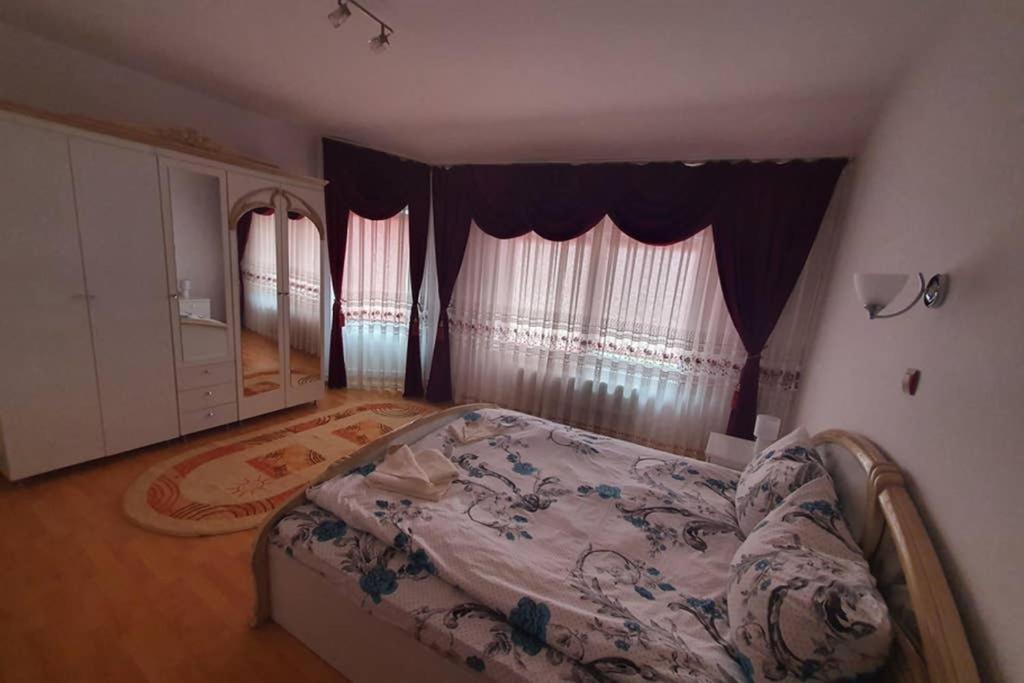 Casa Frizerului - Pets Allowed For Free & Moto Friendly Apartment Sebes  Ngoại thất bức ảnh