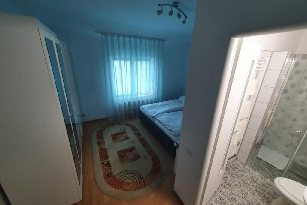 Casa Frizerului - Pets Allowed For Free & Moto Friendly Apartment Sebes  Ngoại thất bức ảnh