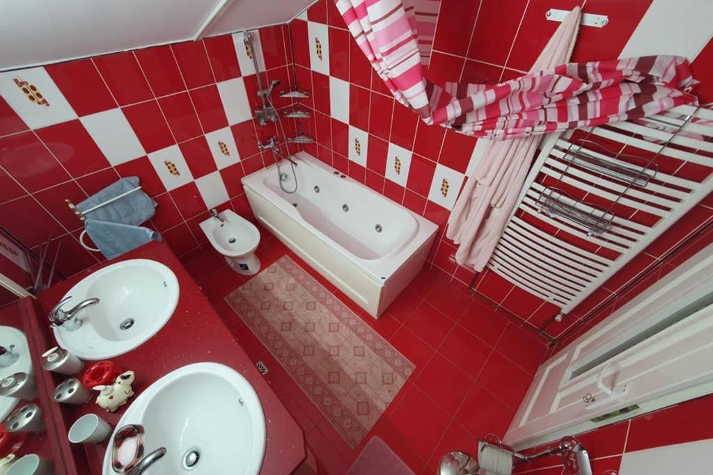 Casa Frizerului - Pets Allowed For Free & Moto Friendly Apartment Sebes  Ngoại thất bức ảnh